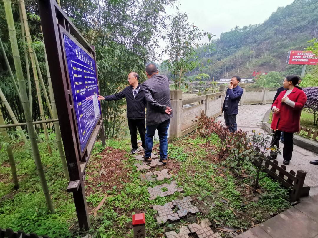 筠连县市场监督管理局新项目的启动，推动市场监管现代化，助力地方经济飞跃发展