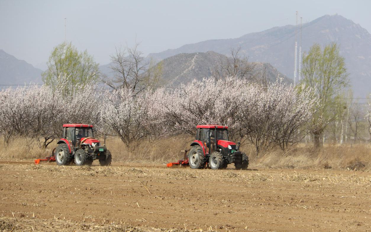 延庆县农业农村局最新动态报道