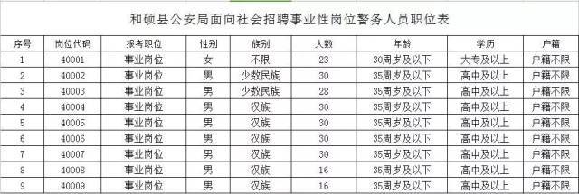 巴楚县人民政府办公室最新招聘信息详解