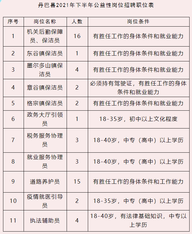 仲巴县人民政府办公室最新招聘信息详解