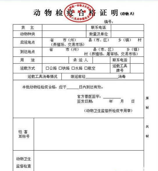 武夷山市防疫检疫站最新人事任命动态及其影响