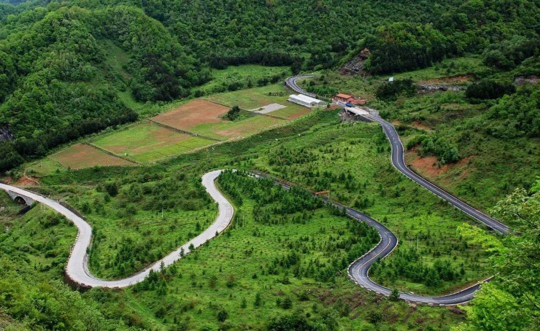 太平林场最新交通新闻，道路改造升级，提升区域交通通达度