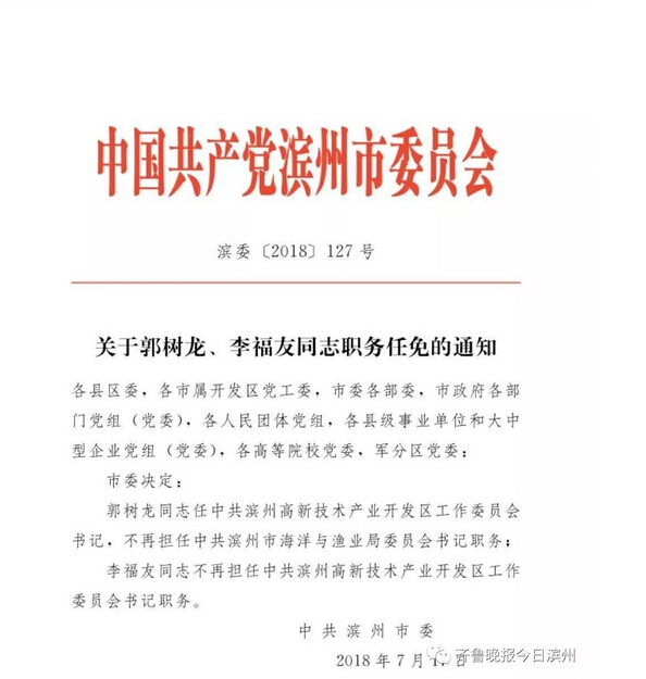 友好区级托养福利事业单位人事任命及其长远影响分析