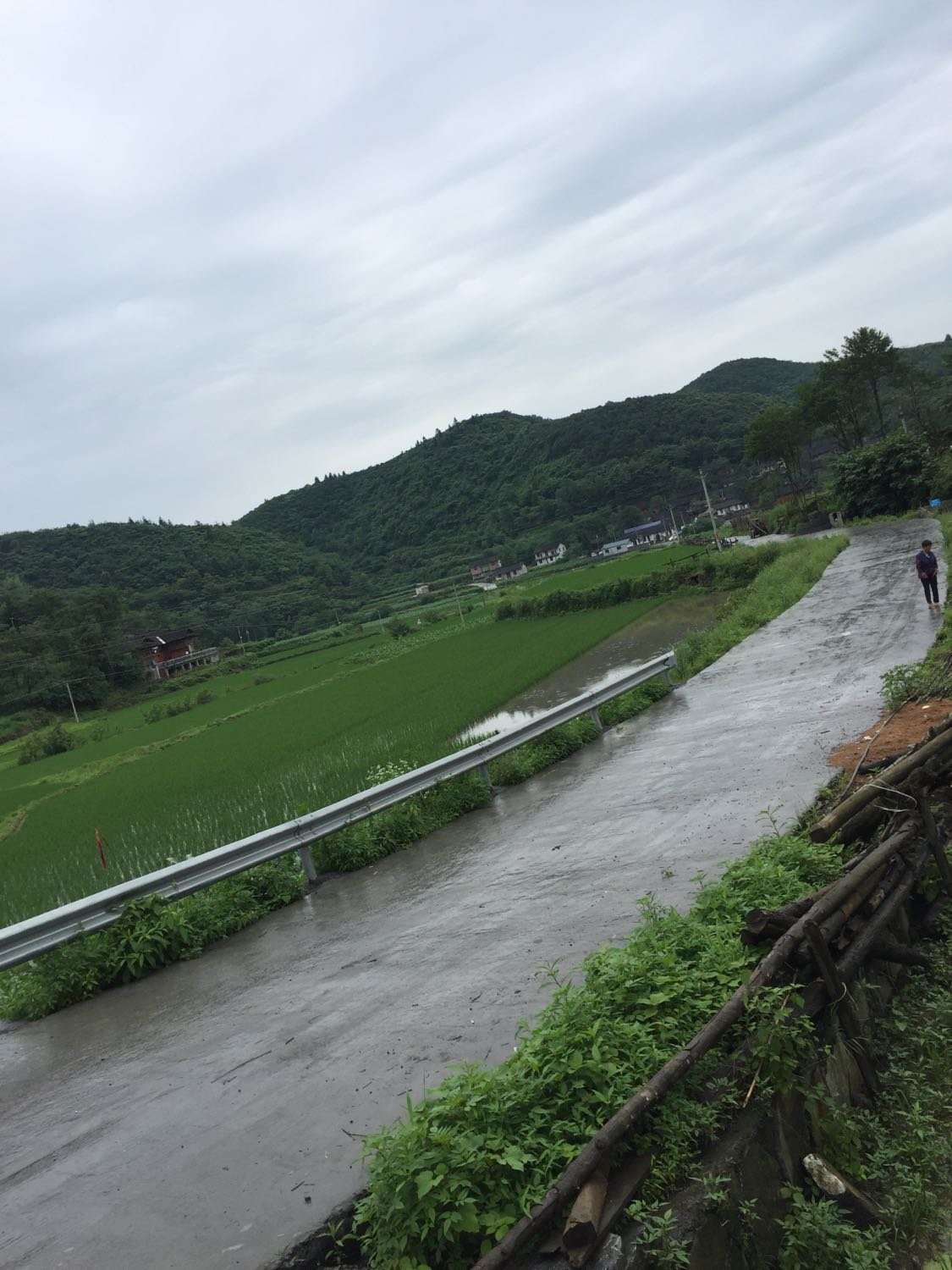 褚家山村委会天气预报更新通知