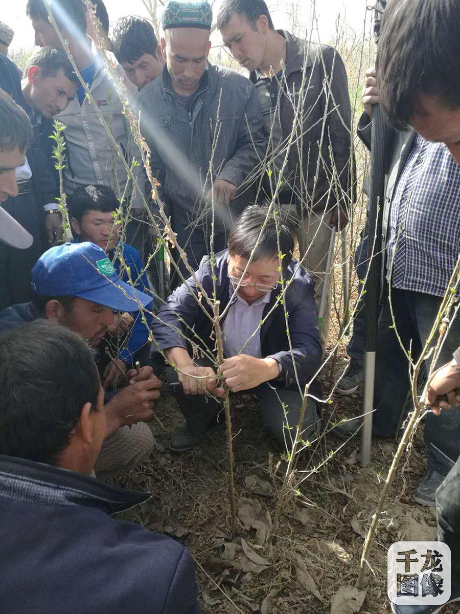 洛浦县发展和改革局领导团队最新概述